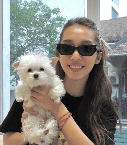 KÍNH NAM NỮ GM VIS VIVA DÁNG CAT-EYE SẮC GỌN – TÔN THẦN THÁI