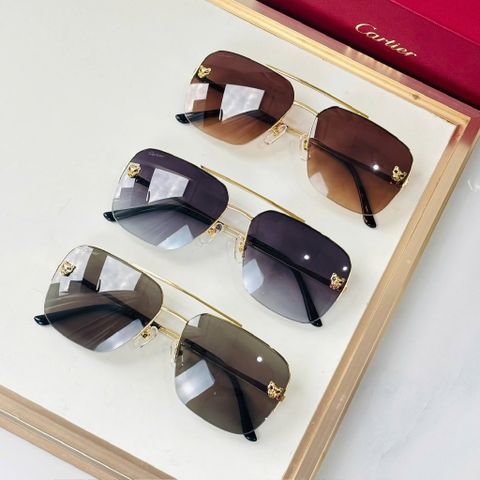 KÍNH MÁT NAM NỮ CTR DÁNG VUÔNG OVERSIZE TRÒNG CHUYỂN SẮC ĐIỂM NHẤN PANTHÈRE ĐẲNG CẤP