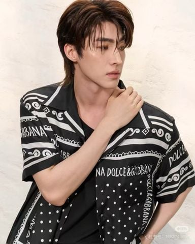 Set bộ áo sơ mi ngắn tay và quần short DG*  Silk Edition