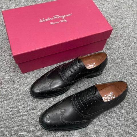 GIÀY TÂY NAM SALVATOR*E – OXFORD BROGUE ĐẲNG CẤP QUÝ ÔNG