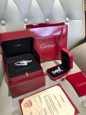 VÒNG TAY NAM NỮ PGT HÌNH RẮN QUẤN ĐÍNH ĐÁ GIỌT LỆ