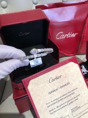 VÒNG TAY NAM NỮ PGT HÌNH RẮN QUẤN ĐÍNH ĐÁ GIỌT LỆ