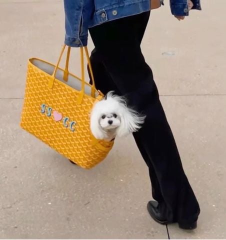 TÚI XÁCH GYD CHIEN GRIS PET CARRIER PHOM SAINT LOUIS KÈM POCKET XƯƠNG ĐỘC ĐÁO