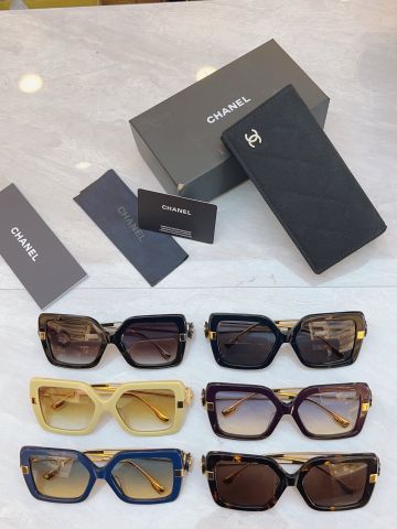 KÍNH MẮT NỮ CN DÁNG VUÔNG OVERSIZE CH5512-H GỌNG ACETATE BẢN LỚN PHỐI GỌNG KIM LOẠI THANH MẢNH