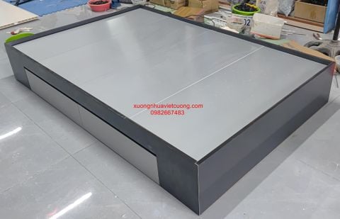  GIƯỜNG NHỰA ĐÀI LOAN GN153 