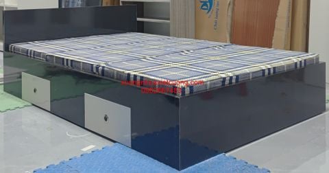  GIƯỜNG NHỰA ĐÀI LOAN GN154 