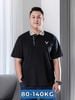 Áo Polo Cổ Sọc Big Size Nam