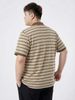 Áo Polo Kẻ Nâu Big Size Nam