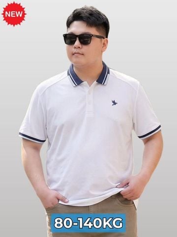 Áo Polo Trắng Cổ Xanh Than Big Size Nam - PL CO THAN