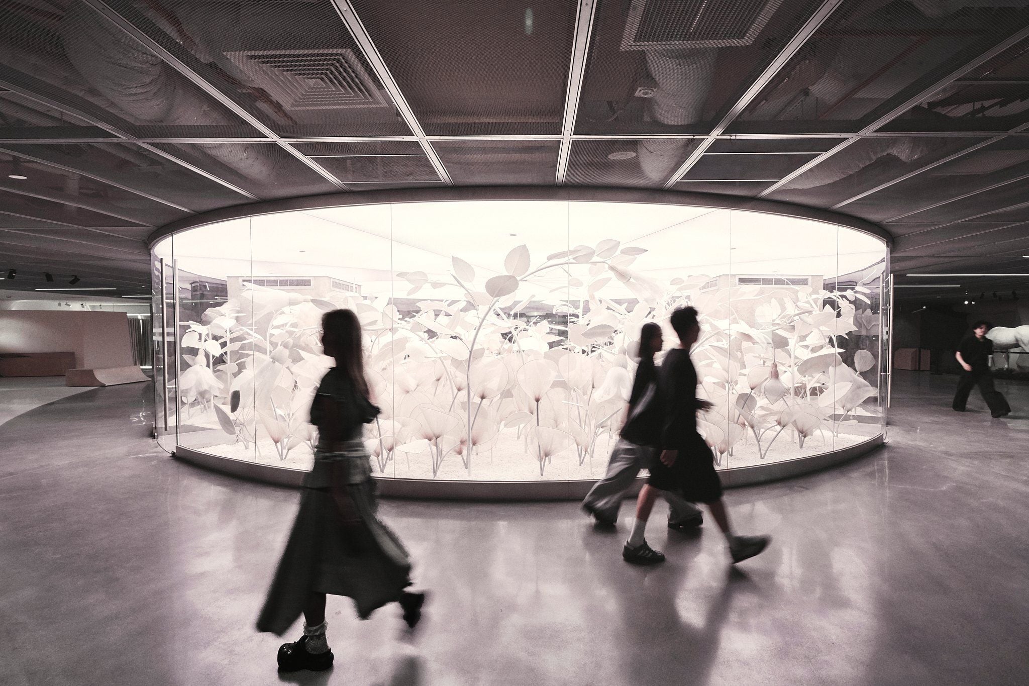 WHITE ANT RUE MICHE L'edition, 171 ĐỒNG KHỞI, TP. HỒ CHÍ MINH