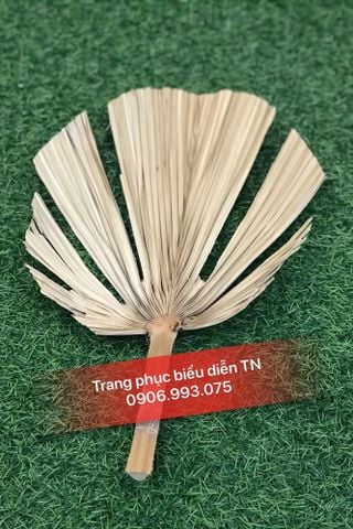  DC06 - Quạt mo Tế Công 