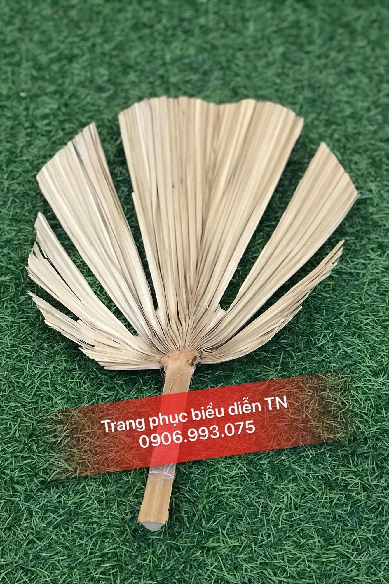 DC06 - Quạt mo Tế Công