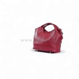  Túi da nữ 14-5523-DO 