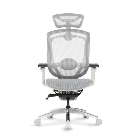  Ghế Văn Phòng Cao Cấp GTChair Marrit X Grey-White Frame 