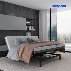 Giường công thái học chỉnh điện FlexiSpot S5K