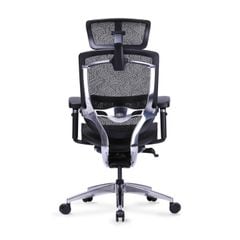 Ghế Công thái học Ergonomic GTChair Marrit X Pro
