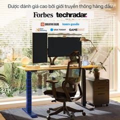 Bàn làm việc nâng hạ độ cao Flexispot E7 (3 Stages)
