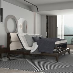 Giường công thái học chỉnh điện FlexiSpot S5K