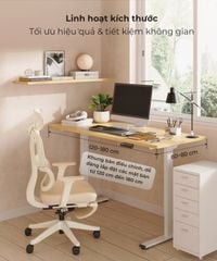 Bàn nâng hạ độ cao Flexispot E1 Pro