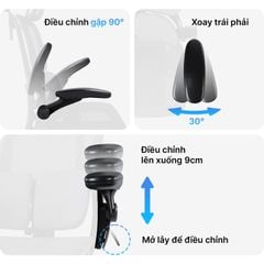 Ghế Công thái học ErgoStuhl S3