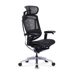 Ghế Công thái học Ergonomic GTChair Marrit X Pro