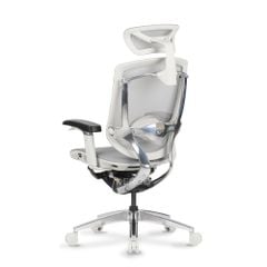 Ghế Văn Phòng Cao Cấp GTChair Marrit X Grey-White Frame