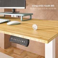 Bàn nâng hạ độ cao thông minh Flexispot E5