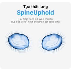 Ghế Công thái học ErgoStuhl S3