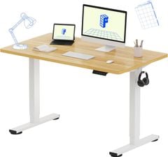 Bàn làm việc đứng điều chỉnh độ cao Flexispot EN1-1206