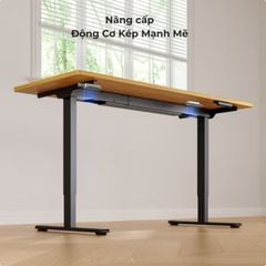 Bàn nâng hạ độ cao Flexispot E1 Pro