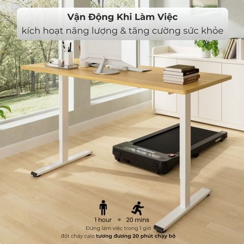  Bàn nâng hạ độ cao Flexispot E1 Pro 