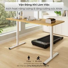 Bàn nâng hạ độ cao Flexispot E1 Pro