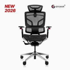 Ghế Công Thái Học Ergonomic GTChair Alien