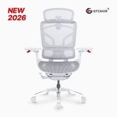 Ghế Công Thái Học Ergonomic GTChair Alien Space Grey