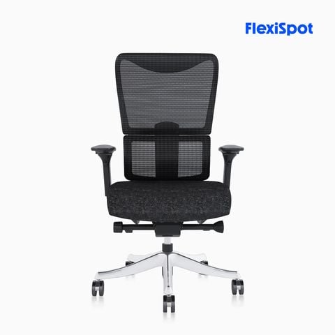  Ghế công thái học FlexiSpot BS8 Pro 