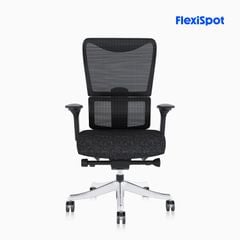 Ghế công thái học FlexiSpot BS8 Pro