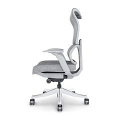 Ghế công thái học FlexiSpot BS8 Pro
