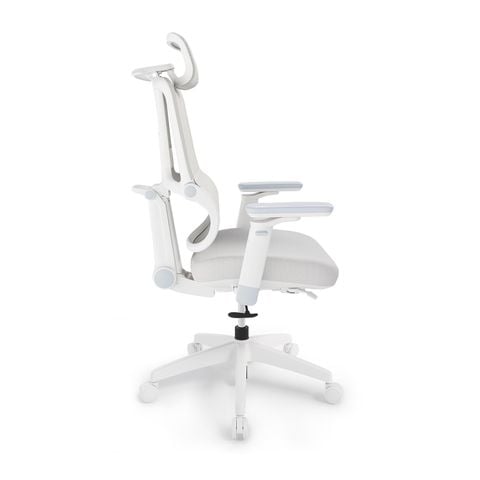  Ghế ngồi học chống gù Hanover C51 