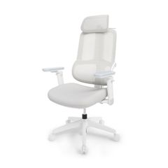 Ghế ngồi học chống gù Hanover C51