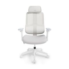 Ghế ngồi học chống gù Hanover C51