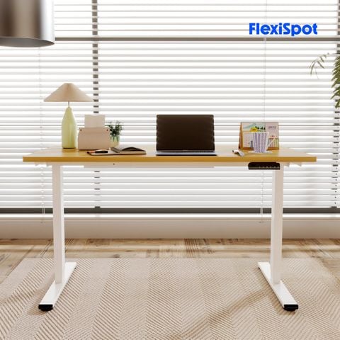  Bàn nâng hạ độ cao Flexispot E1 Pro 