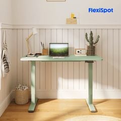 Bàn nâng hạ độ cao FlexiSpot E1 Pro Mint