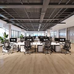 Ghế Công thái học ErgoStuhl S3