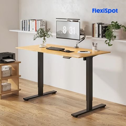  Bàn làm việc đứng điều chỉnh độ cao Flexispot E2 Pro-NEW 