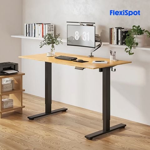  Bàn làm việc đứng điều chỉnh độ cao Flexispot E2 Pro-NEW 