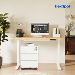 Bàn nâng hạ độ cao Flexispot E5 Lite