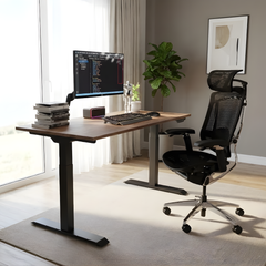 Combo Bàn Ghế Công Thái Học Premium Ergo Workspace