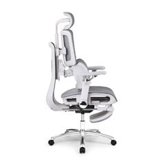Ghế công thái học Ergonomic DERGO ErgoX E5 Pro 6D