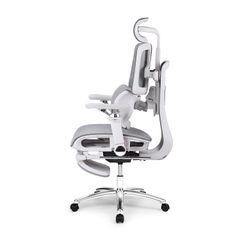Ghế công thái học Ergonomic DERGO ErgoX E5 Pro 6D