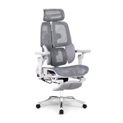 Ghế công thái học Ergonomic DERGO ErgoX E5 Pro 6D